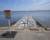 平成27年度 木曽川下流部環境整備工事